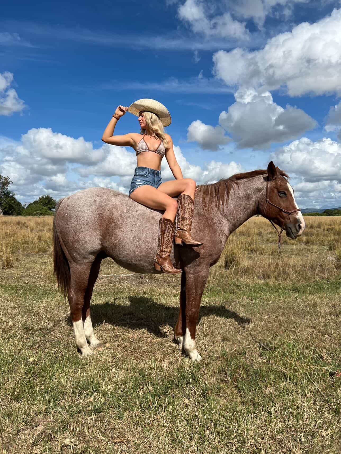 Kanela Top - Brown Gingham